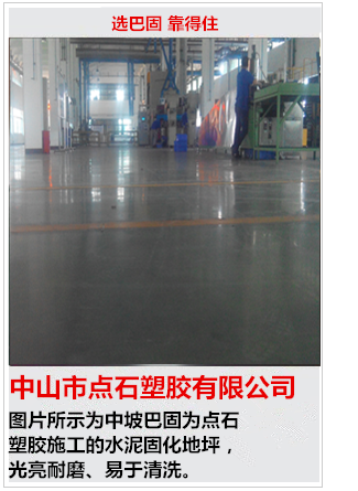 珠海天威打印耗材集团巴固地坪